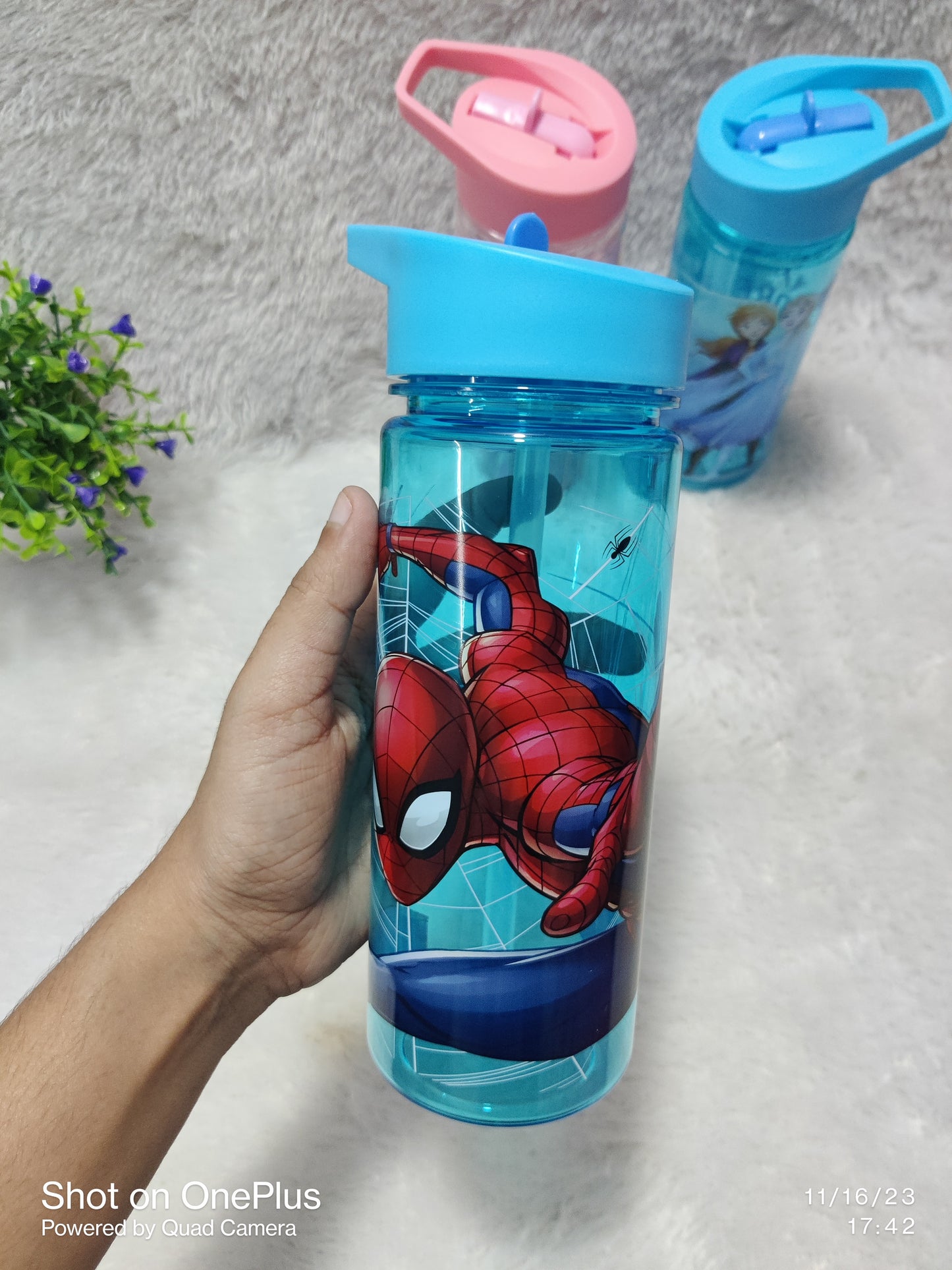 Cartoon Sippers
