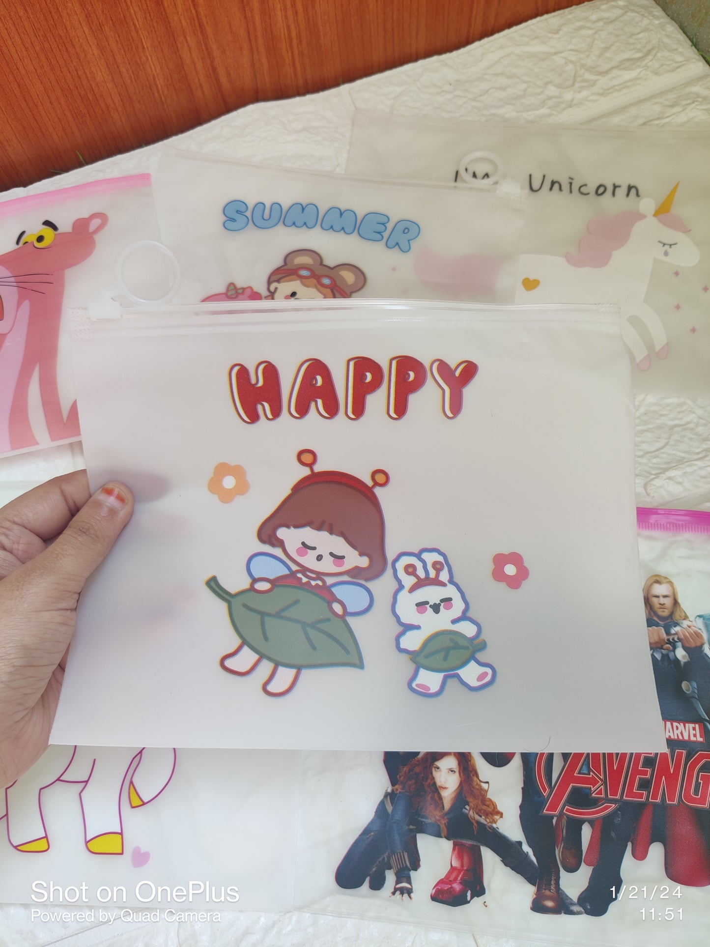 Frozen/ Avengers A5 Transparent Pouches