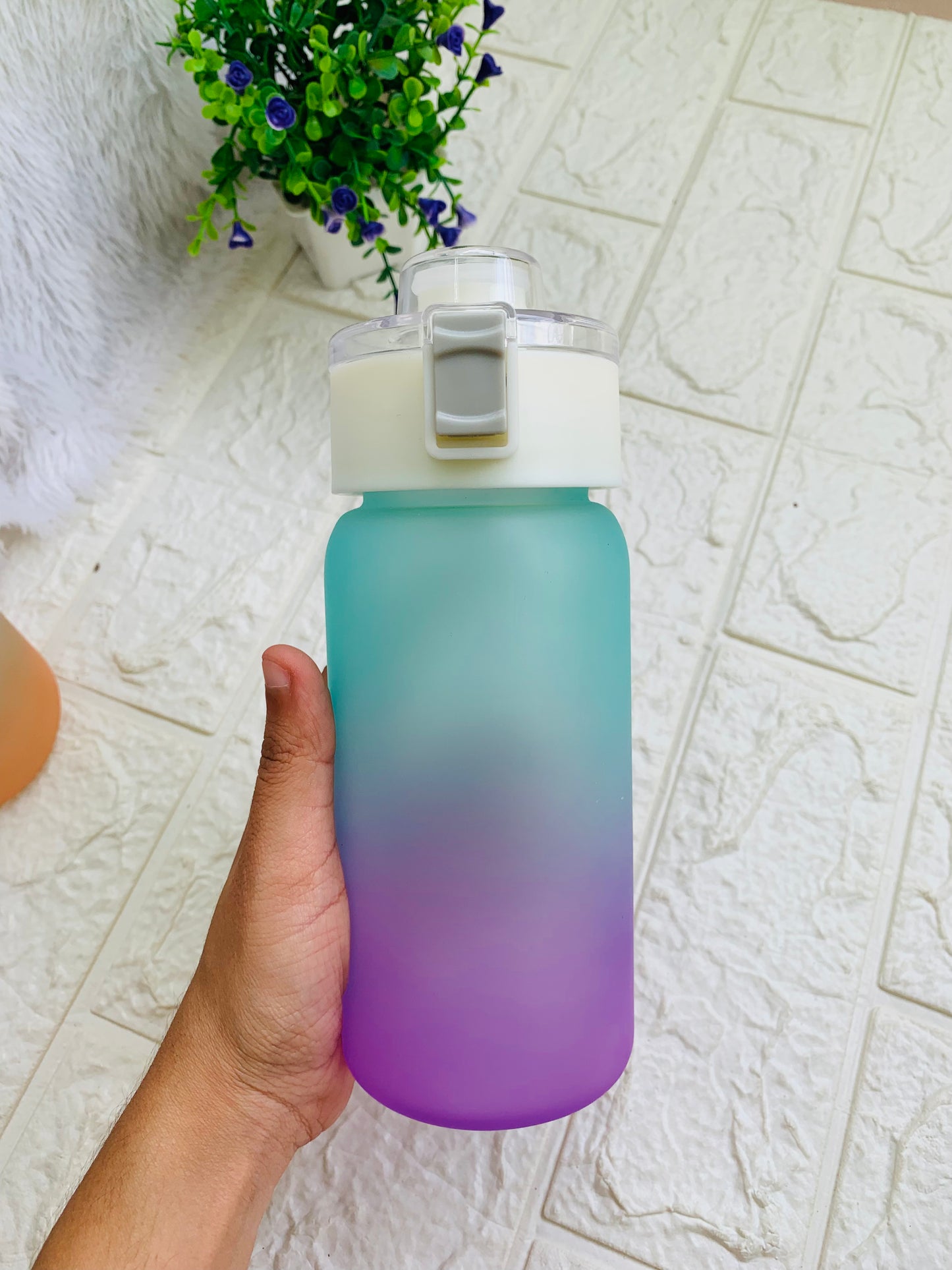 Dual Color Mini Water Bottle
