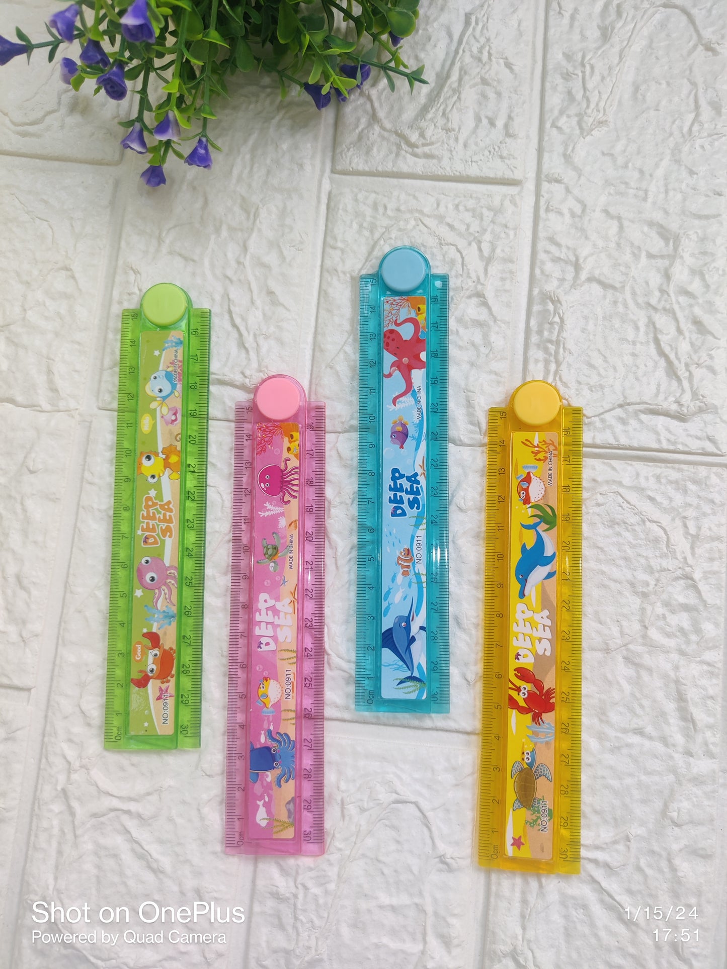 Expandable Rulers