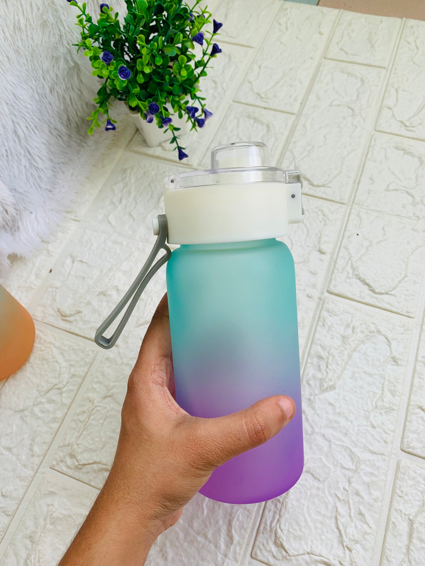 Dual Color Mini Water Bottle