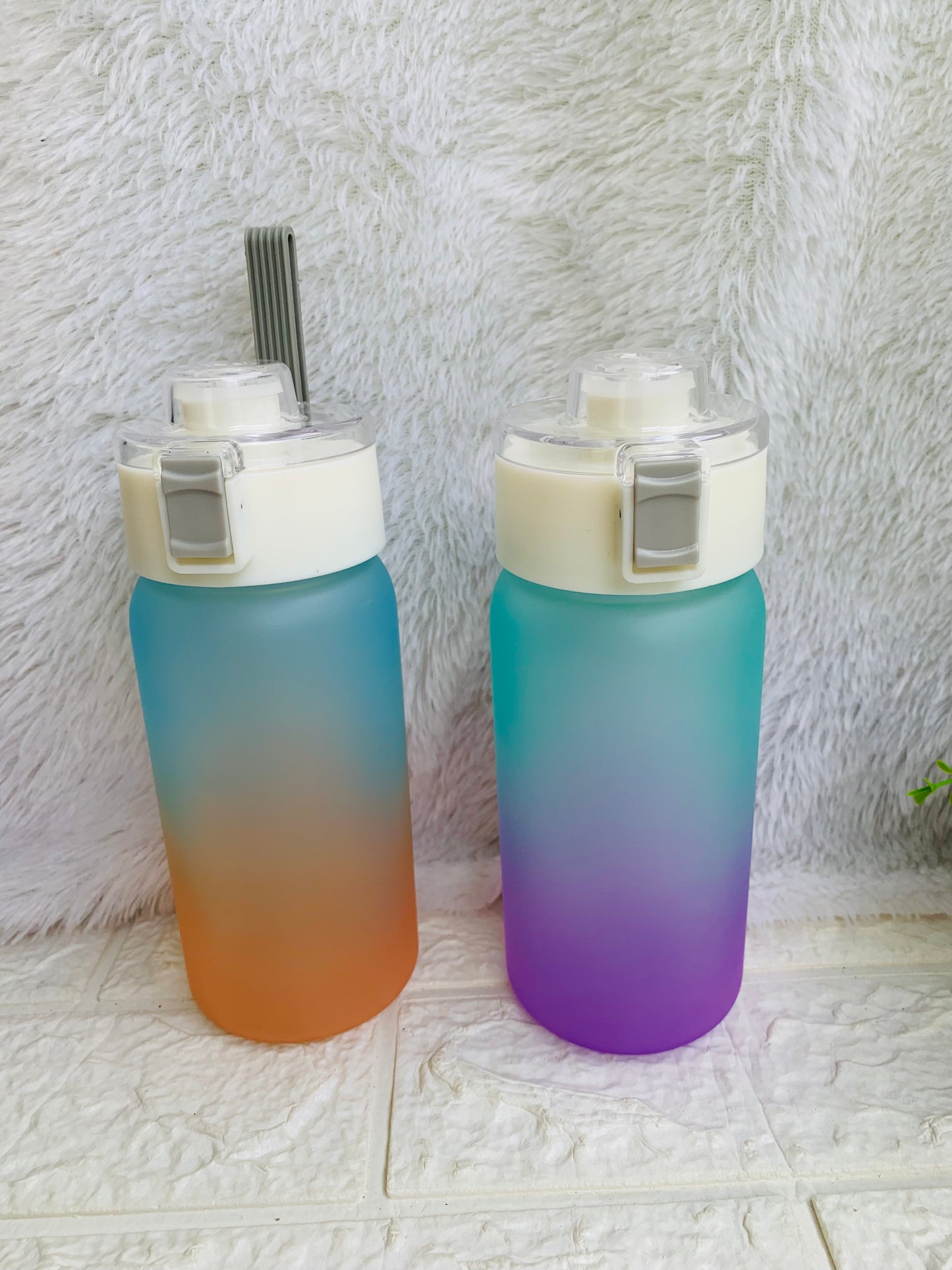 Dual Color Mini Water Bottle