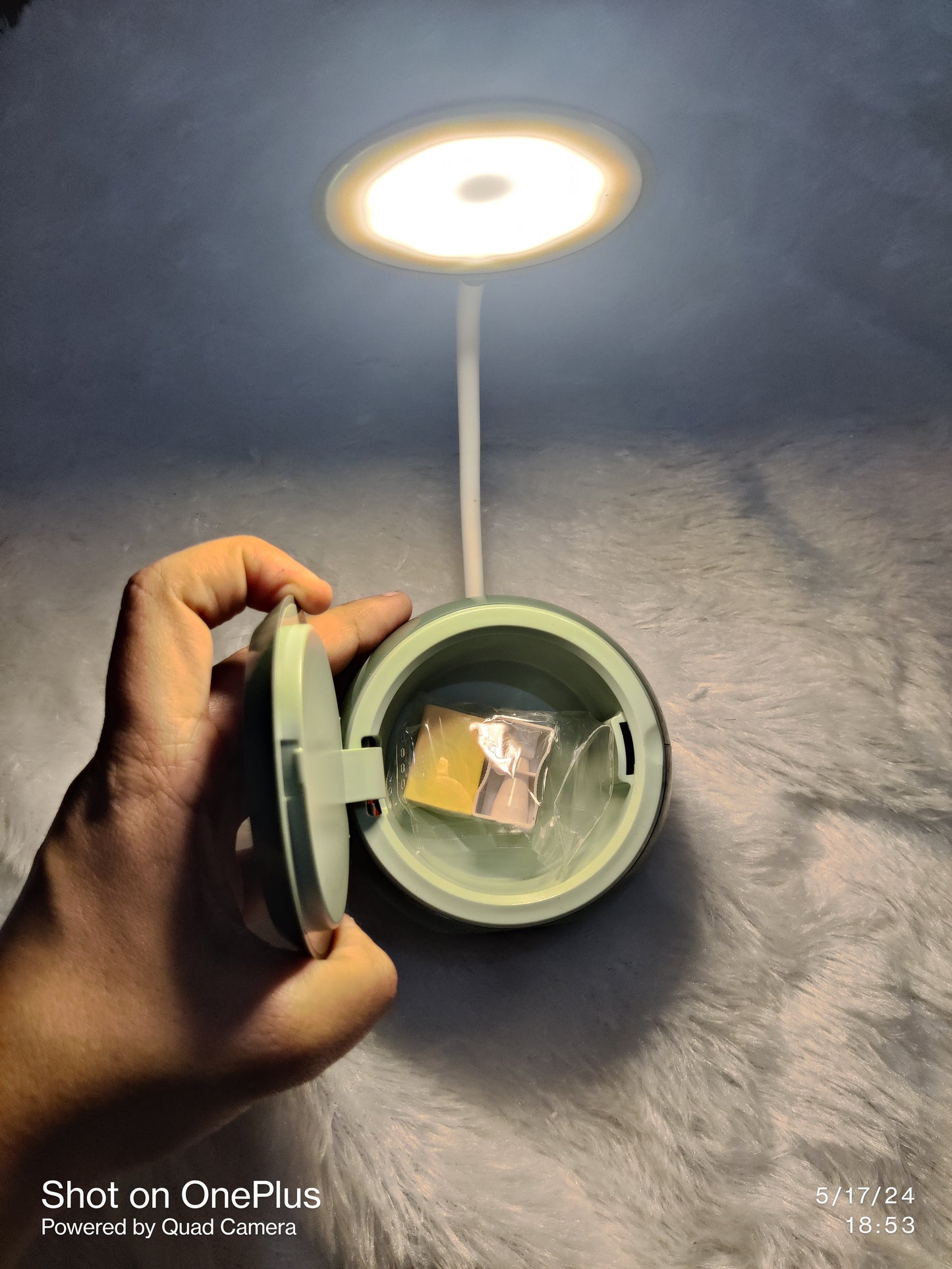 Animal Dual Study Lamp