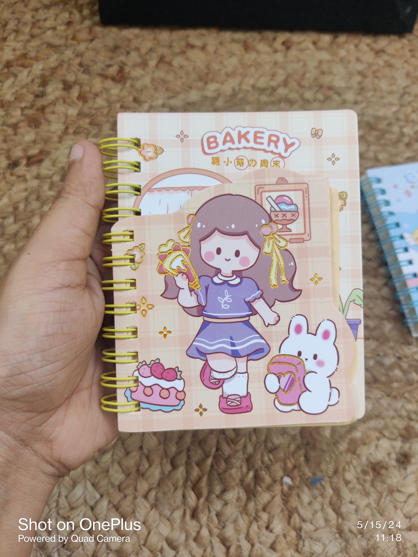 Kawaii Girl Spiral Dairies