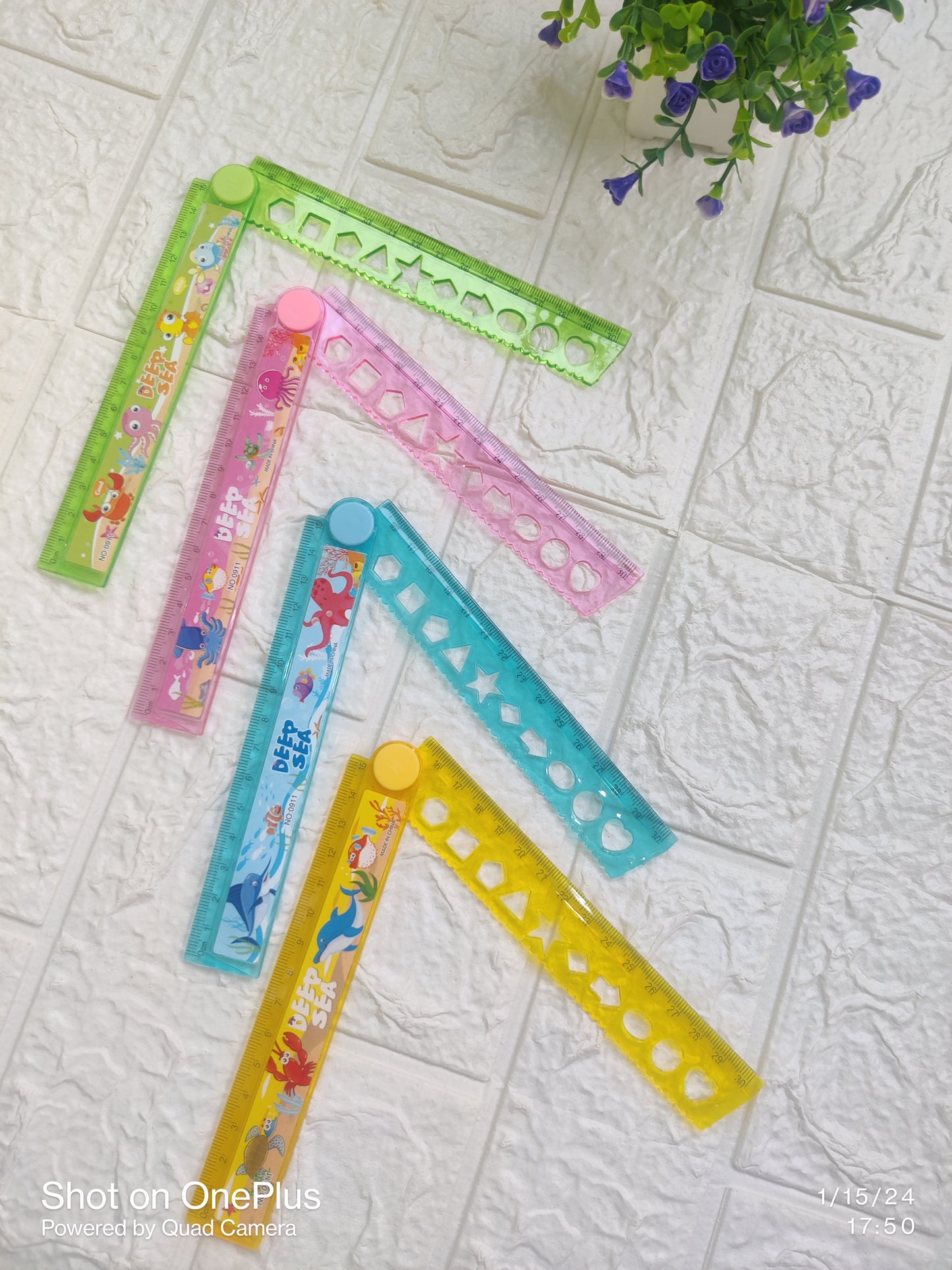Expandable Rulers