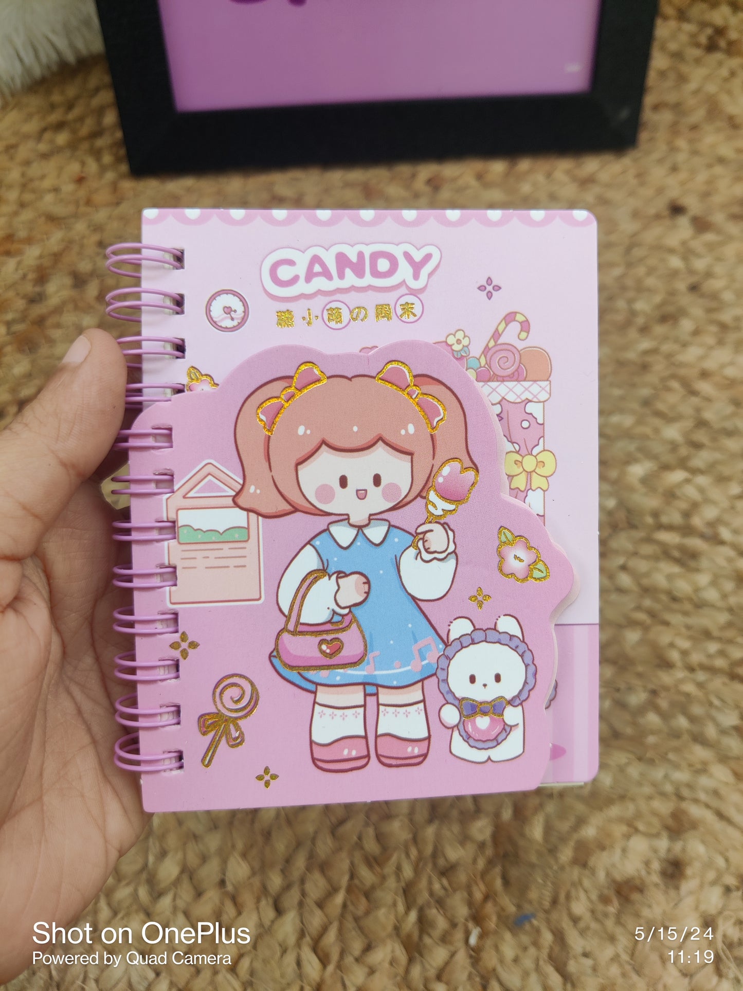 Kawaii Girl Spiral Dairies