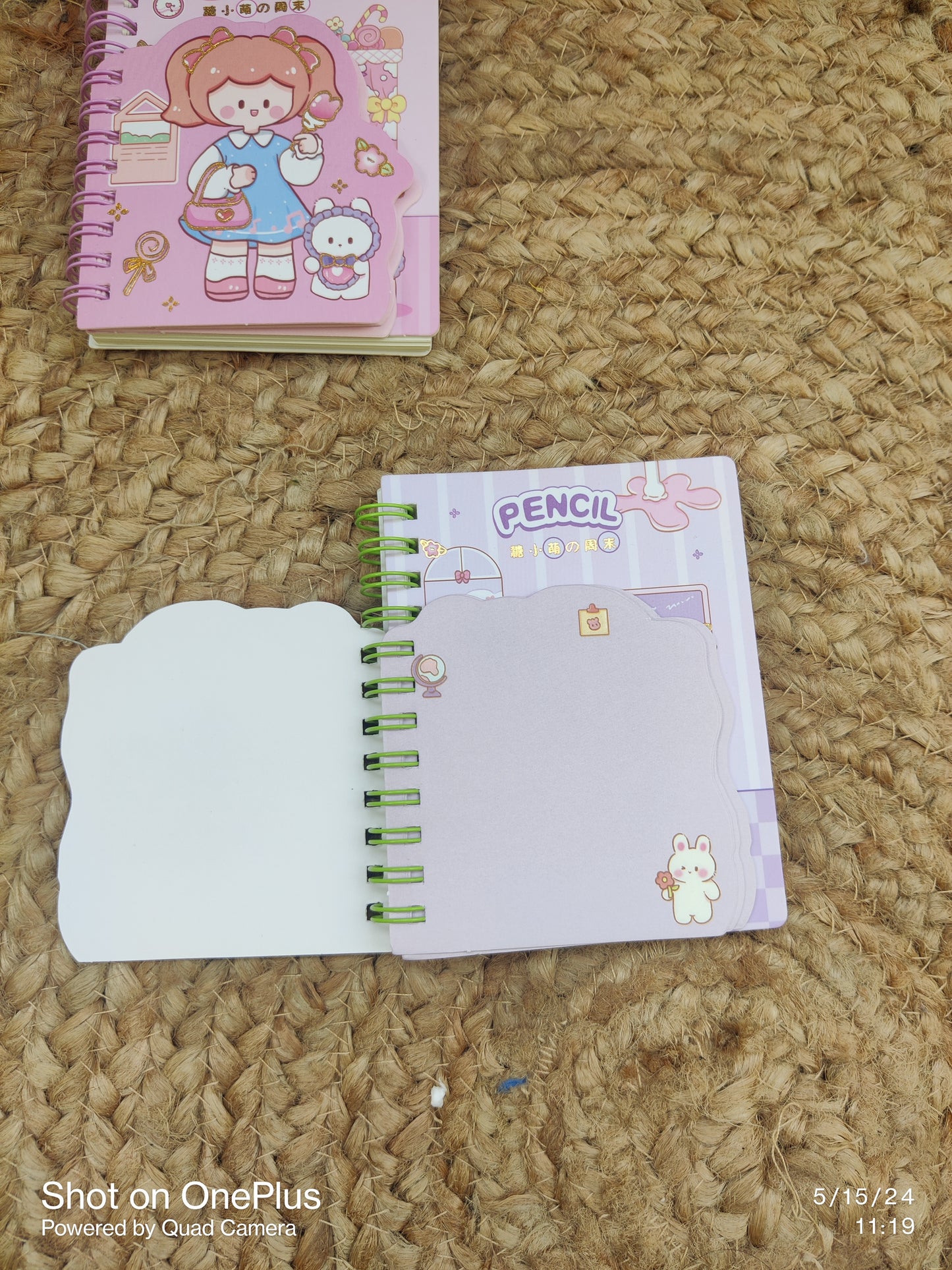 Kawaii Girl Spiral Dairies
