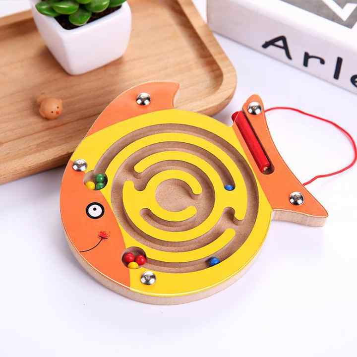 Magnetic Maze