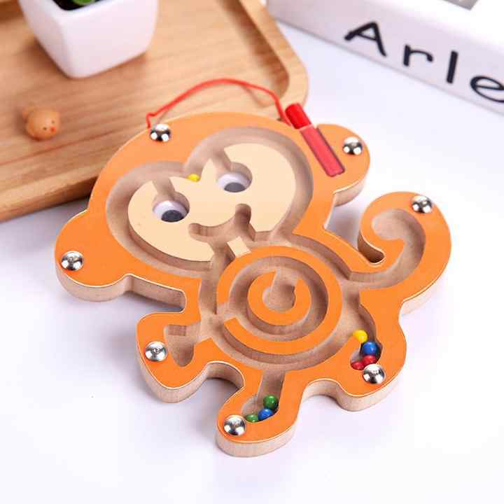 Magnetic Maze